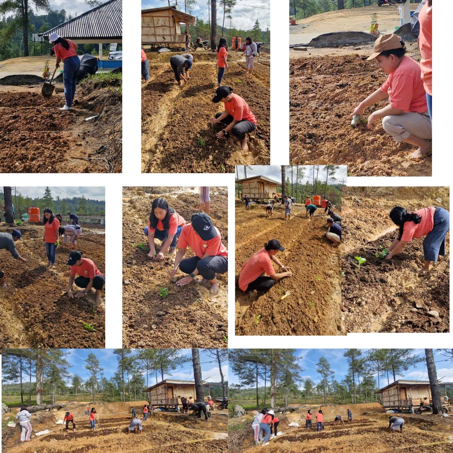 Gambar Berita